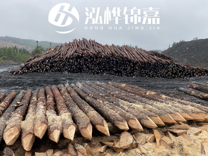 6米長松木樁有哪些作用，多少錢一根？