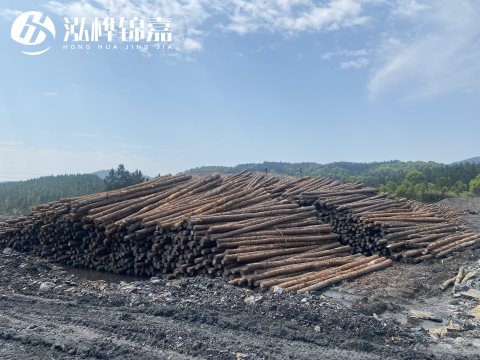 河道打樁為什么選擇松木樁來處理軟地基？-松木樁施工使用范圍