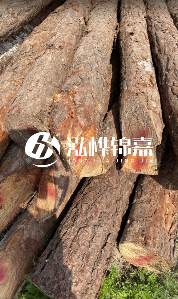 <strong>松木樁和杉木樁的用途區(qū)別？哪個(gè)更適合打樁用？</strong>