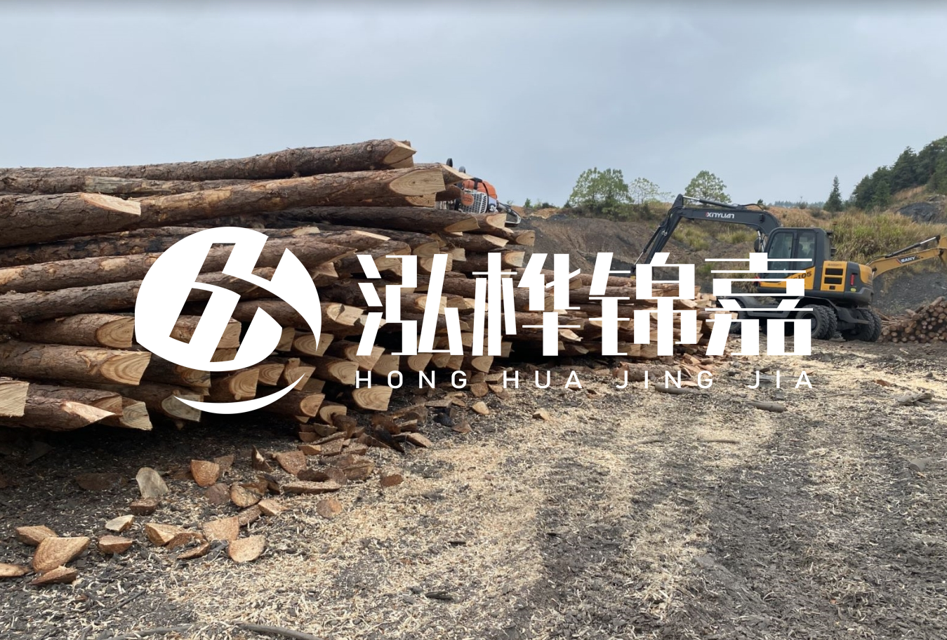 松木樁尾徑是什么意思？