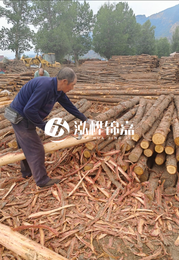東營河道清淤專業(yè)施工隊-不同型號挖機清淤能力對比？