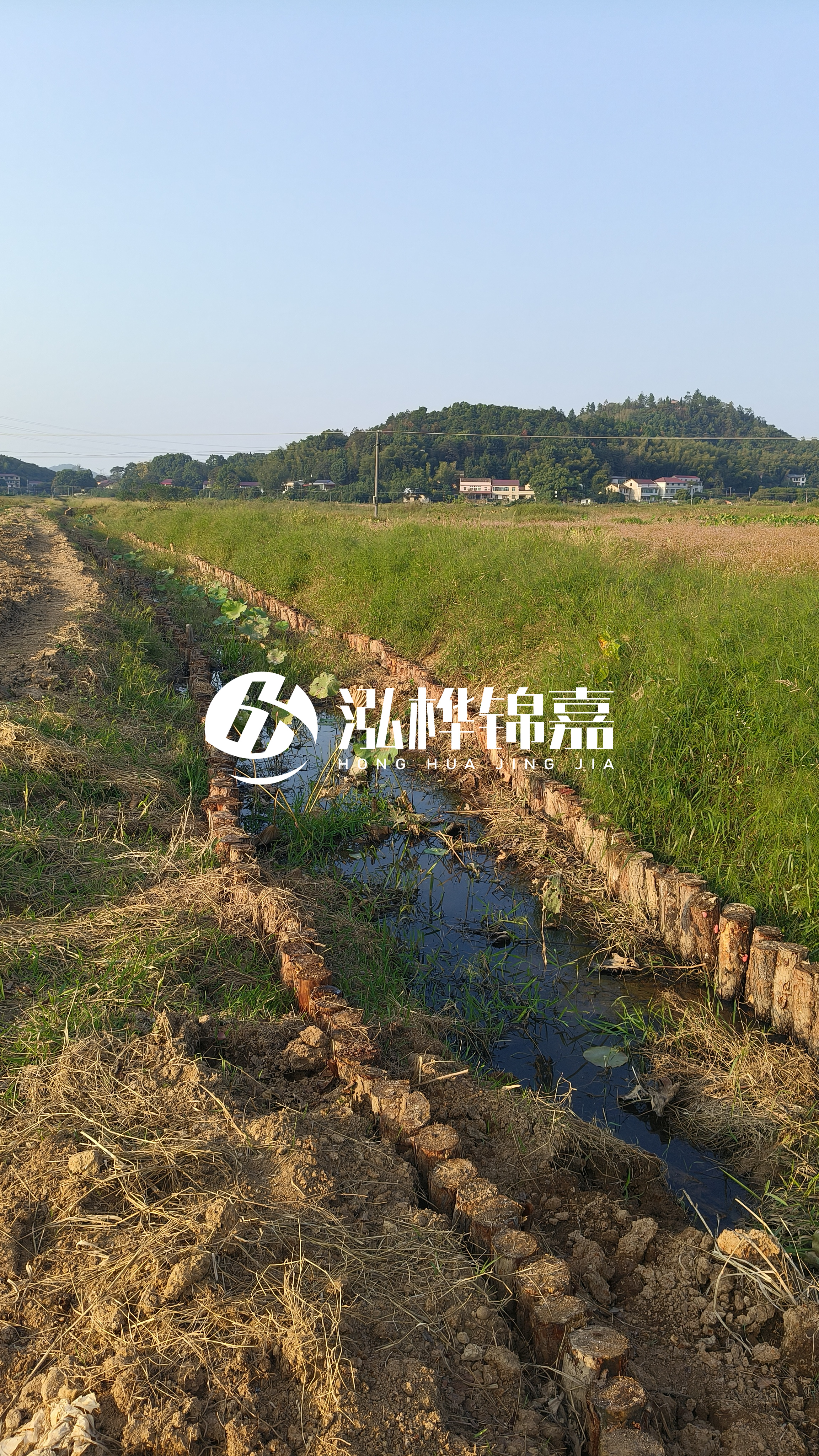 河道護(hù)坡打木樁的目的全解析：你知道幾個(gè)？