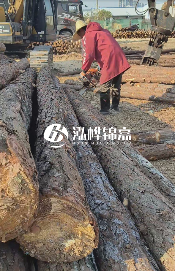 長沙打樁木批發(fā)廠家在哪里？聯(lián)系方式是什么？
