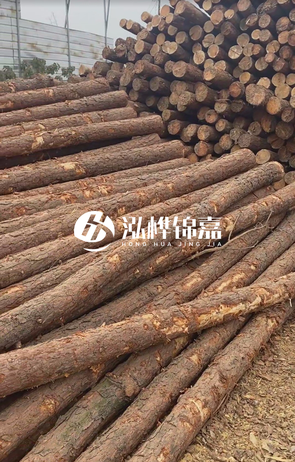 山西河道木樁護(hù)岸價(jià)格多少錢一米-每米河道打樁要花多少錢？