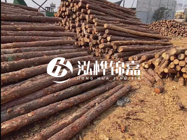 河道木樁施工遇到淤泥怎么辦？打多深才能防沖刷？