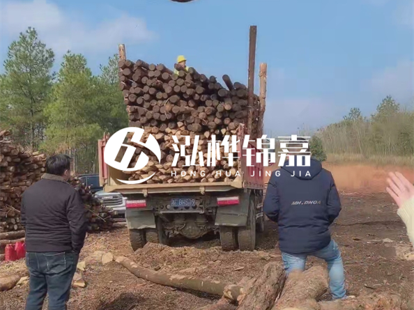 松木樁價(jià)格是按米算還是按根算？6米松木樁批發(fā)價(jià)每根多少錢(qián)？