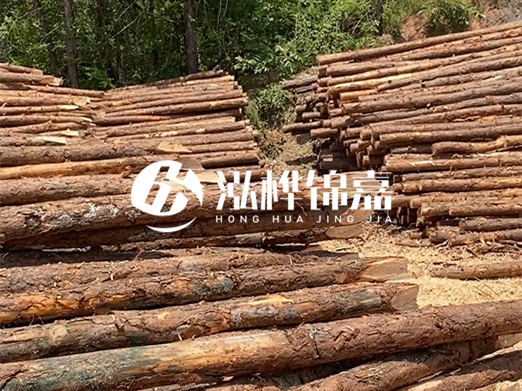 松木樁的運(yùn)輸費(fèi)用是否包含卸車費(fèi)？卸貨時(shí)需要注意哪些安全問題？