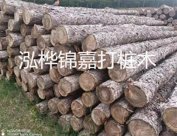高效修補(bǔ)，保駕護(hù)航！水泥路面高強(qiáng)度修補(bǔ)料為您解決煩惱！