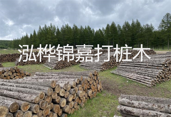 預(yù)制松木樁施工工藝：優(yōu)質(zhì)材料，高效快速，堅(jiān)固耐用