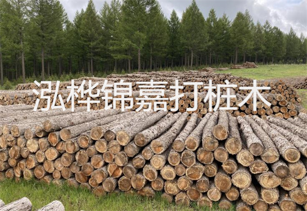松木樁能施工嗎？探究視頻揭秘真相！
