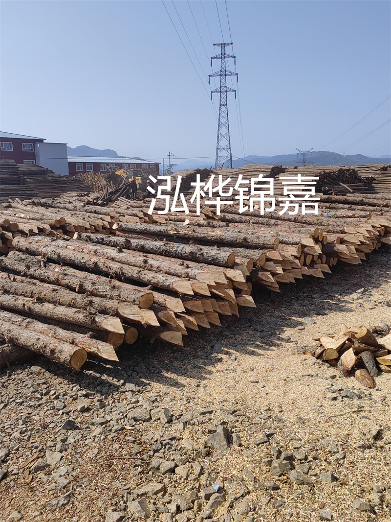 深入了解松木樁基礎(chǔ)施工單價(jià)，助力工程建設(shè)順利進(jìn)行！