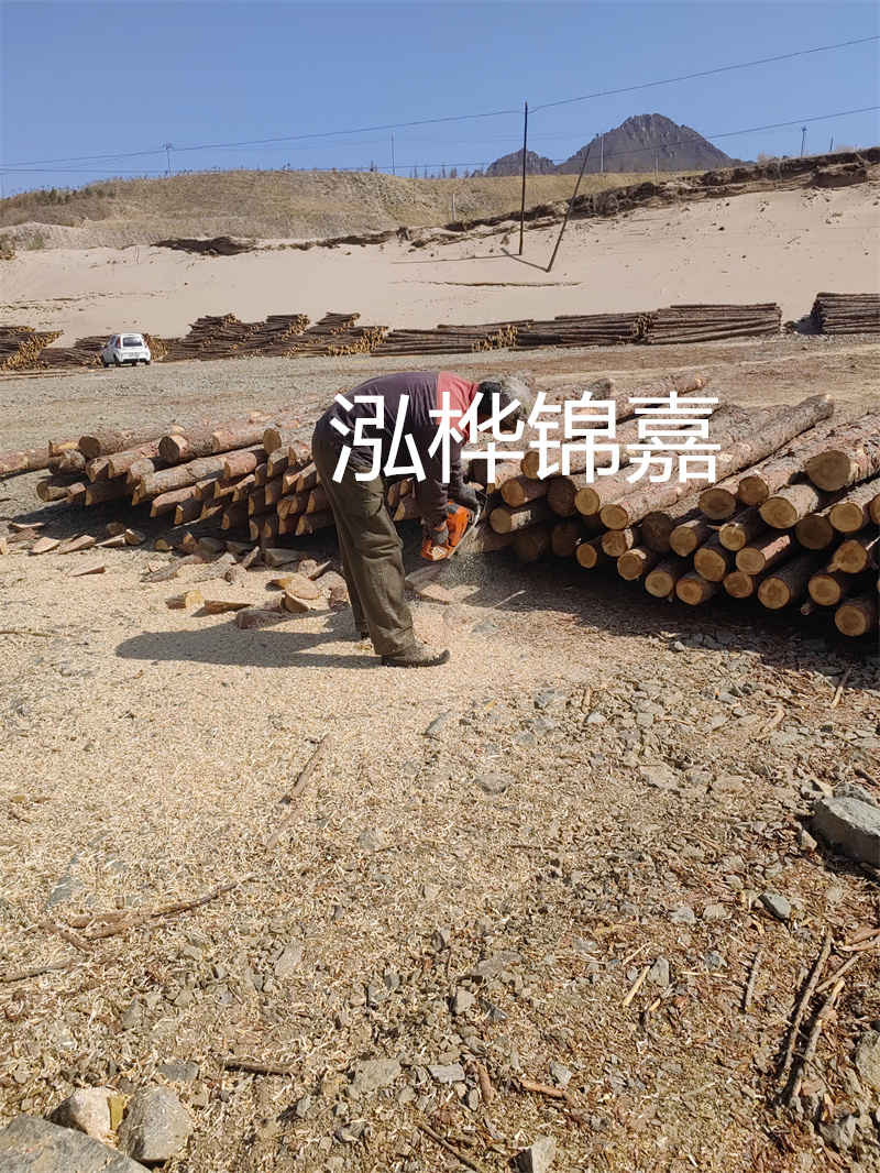 松木樁駁岸施工，打造水上風(fēng)景線(xiàn)