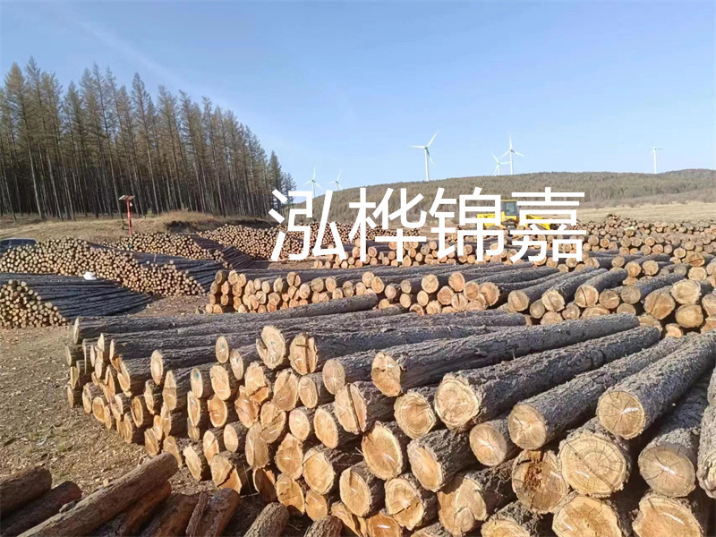 用路基松木樁施工方案提升工程質(zhì)量描述：了解路基松木樁施工方案的重要性，提高工程質(zhì)量關(guān)鍵詞：路基松木樁，施工方案，工程質(zhì)量