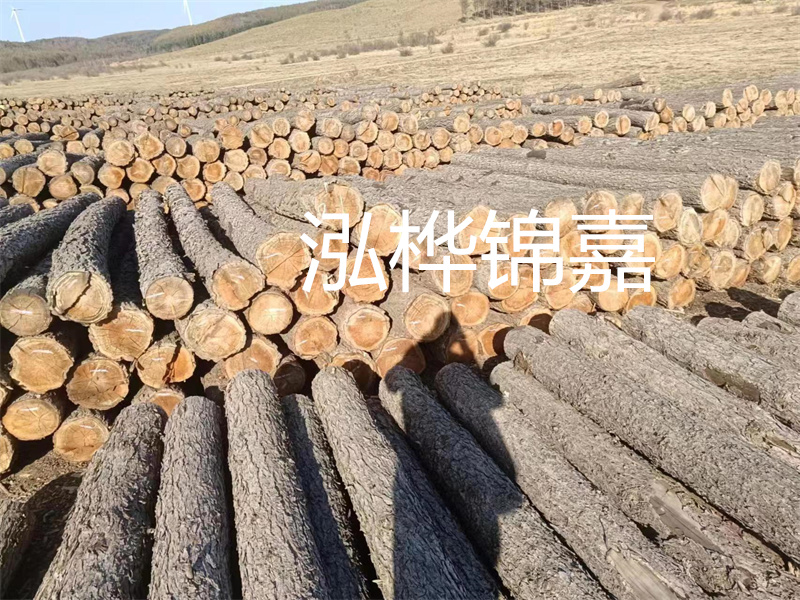 選擇合適的路緣石尺寸，打造美麗道路