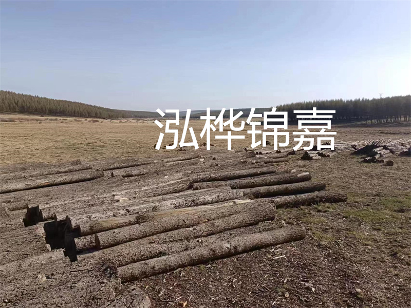 鄂州松木樁哪里好？推薦泓樺錦嘉松木樁業(yè)！